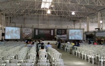 Painel de Led e Telões